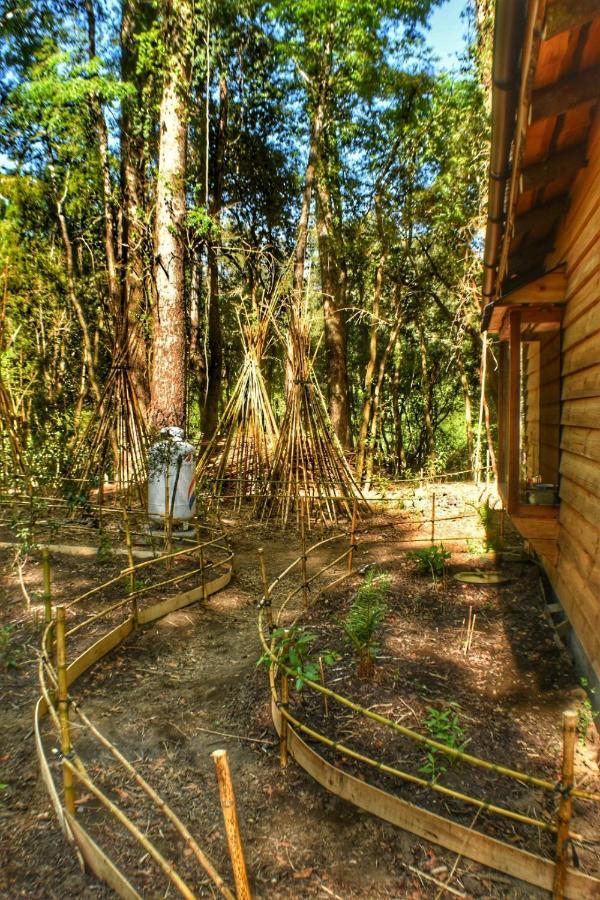 Cabanas Antukullen * Pucón