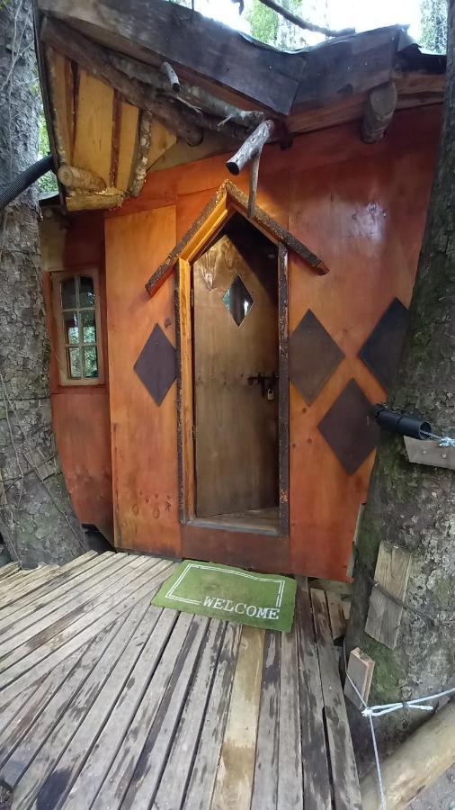 Cabanas Antukullen * Pucón