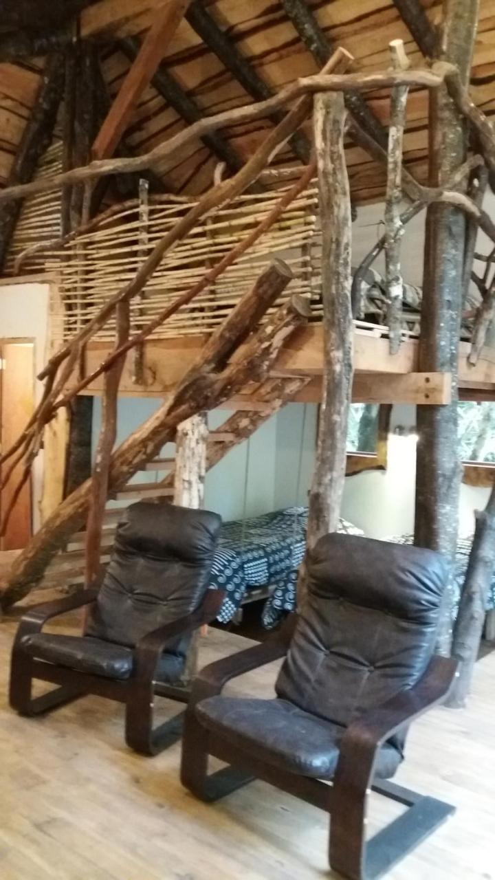 Cabanas Antukullen Alojamento